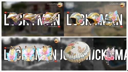 军需新皮肤最新爆料升级枪,枪械美学与实战性能的完美融合  第1张